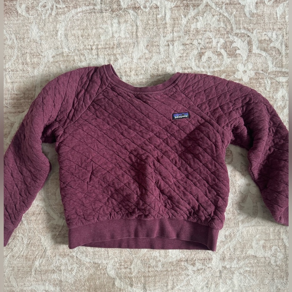 Patagonia Sweatshirt